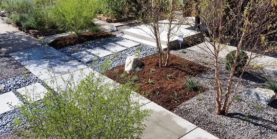 Contemporary Rock Garden Denver