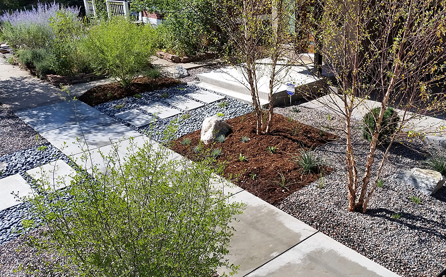 Contemporary Rock Garden Denver