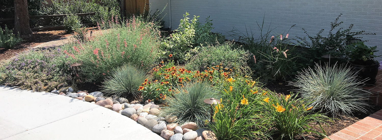 Denver Green Landscape Tips