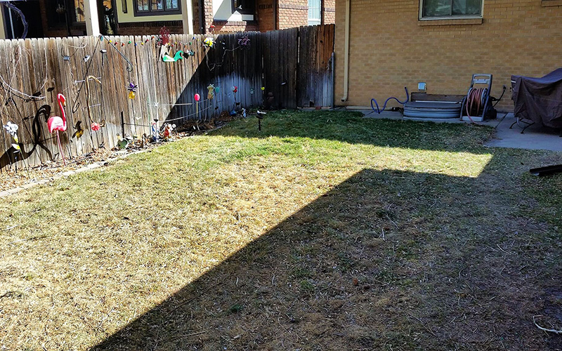 Denver Landscape Redesign Before