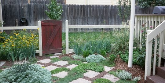 Backyard Stone Pavers