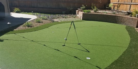 Backyard Putting Green